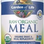 vegan meal replacement