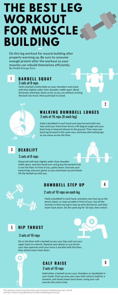Infographic for leg workout for muscle building